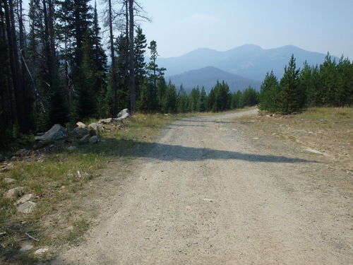 GDMBR: Cycling southward on NF-175, Montana.
